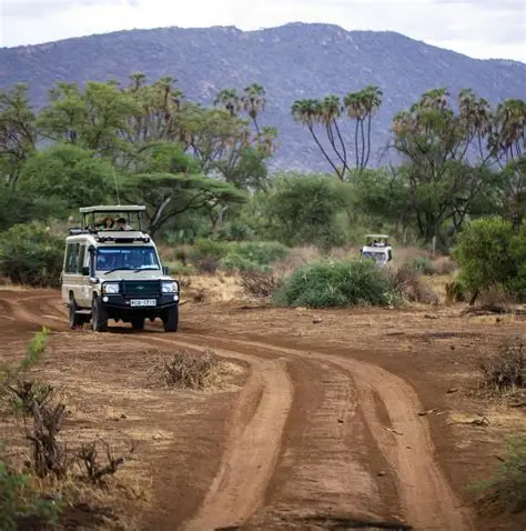 Why Kenya Is the Ultimate Safari Destination in 2026